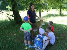 Półkolonie letnie 2025